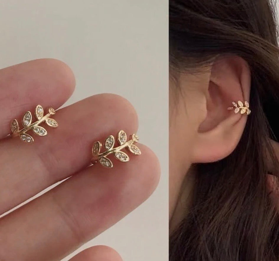 Stylish earrings